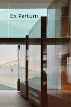 Ex Partum by emma burnett